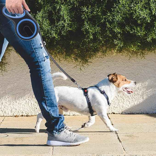 Retractable Dog Leash - Velvet Paw