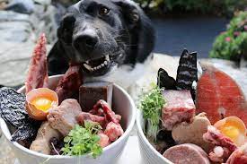 What to Feed Your Dog for a Healthy
