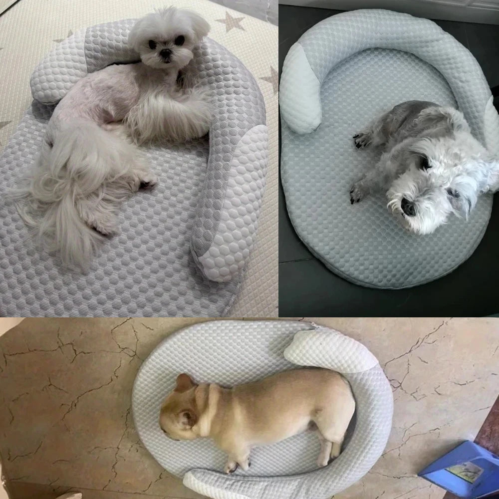 Orthopedic Dog Bed