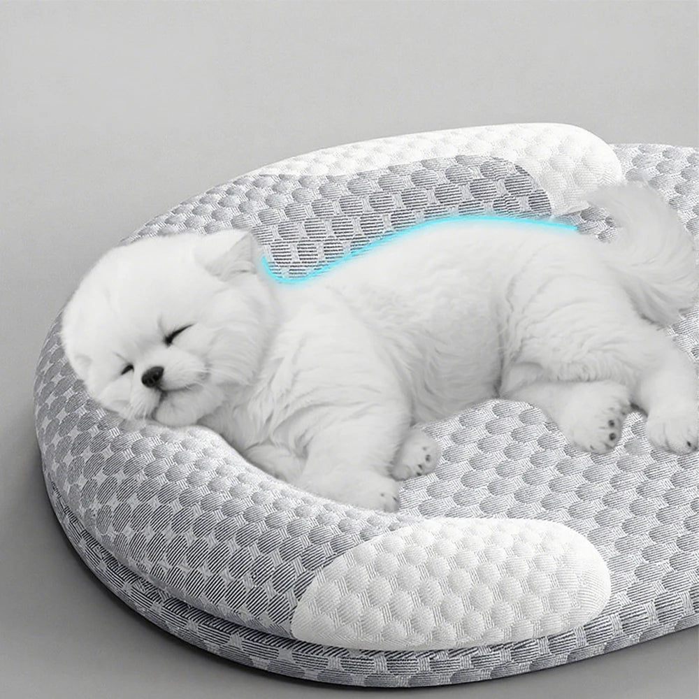 Orthopedic Dog Bed