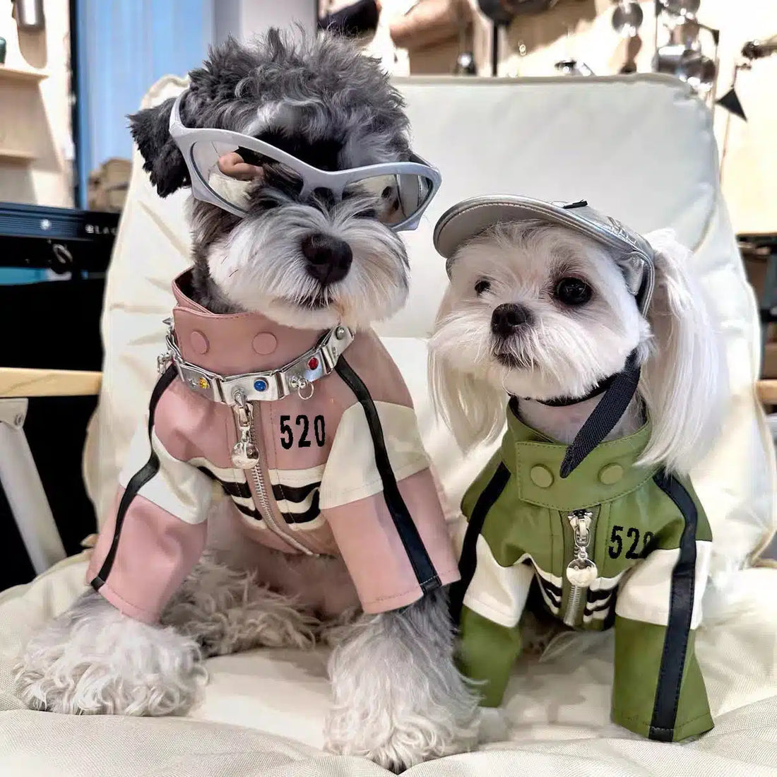 Dog Clothes