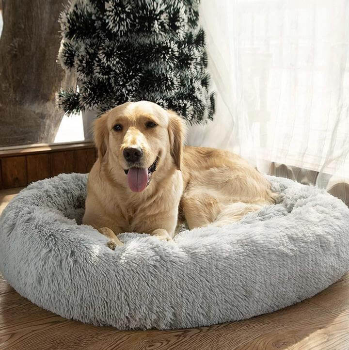 Pet Beds - Velvet Paw