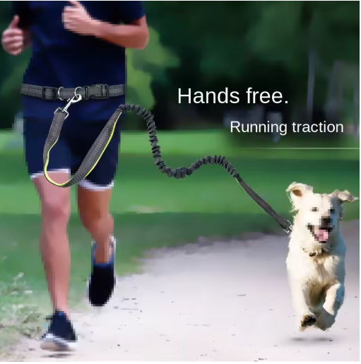 Hands-Free Dog Leash