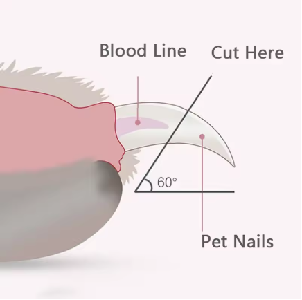 Pet Nail Clippers with LED Light