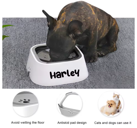 No-Spill Floating Pet Water Bowl