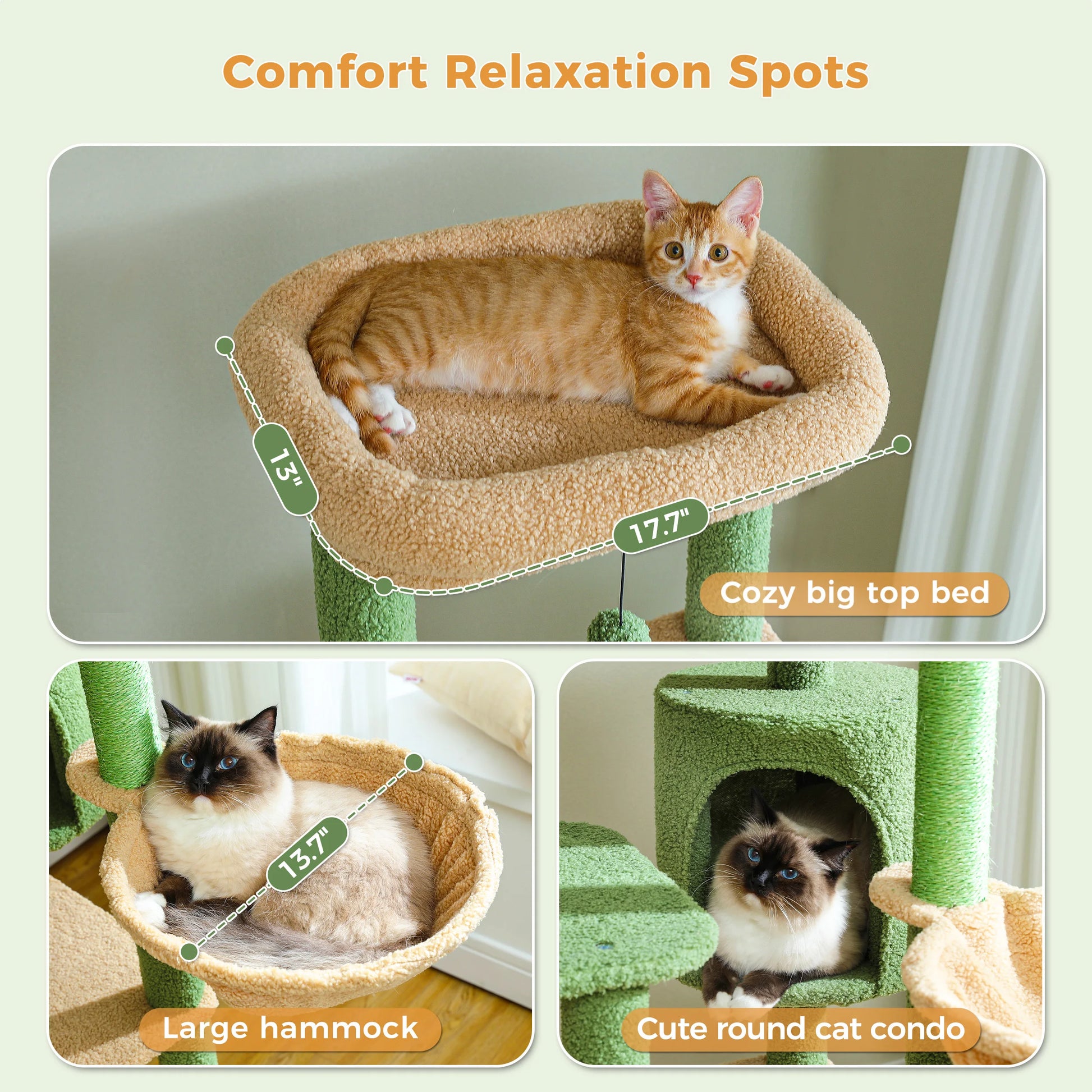 Cat lounging on a cozy big top bed, large hammock, and round cat condo with measurements.