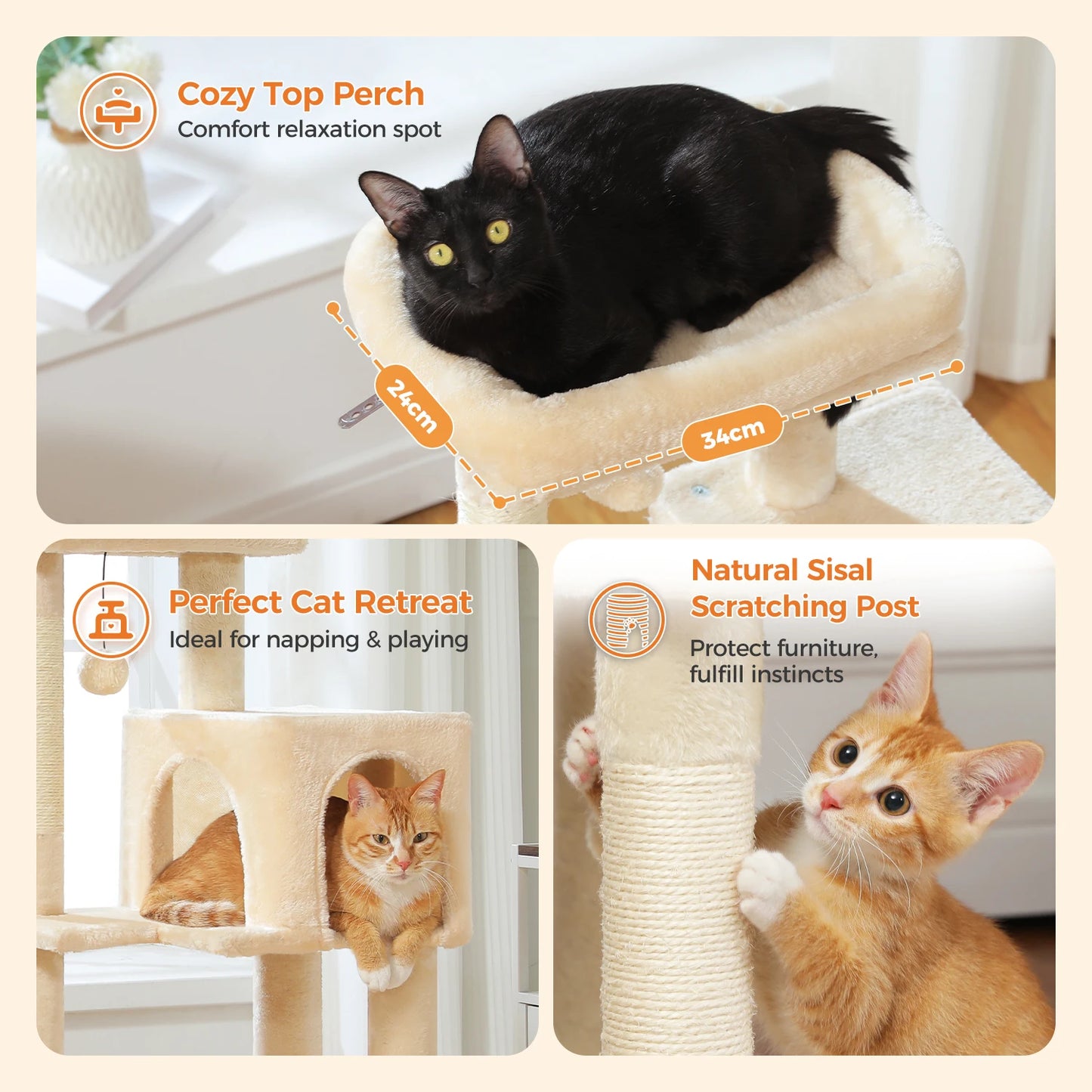 Cat perches on a cozy top perch, hides behind a cat tree, and uses a scratching post in a home setting.