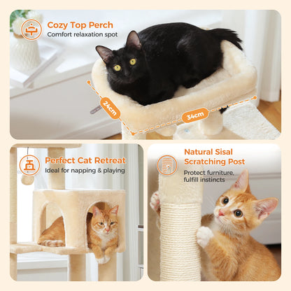 Cat perches on a cozy top perch, hides behind a cat tree, and uses a scratching post in a home setting.