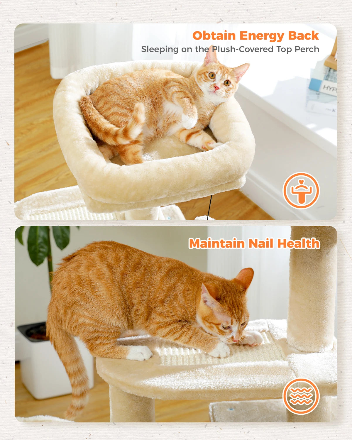 Premium Cat Activity Tree 2-in-1 - Convertible Tower with Hammock & Removable Perch
