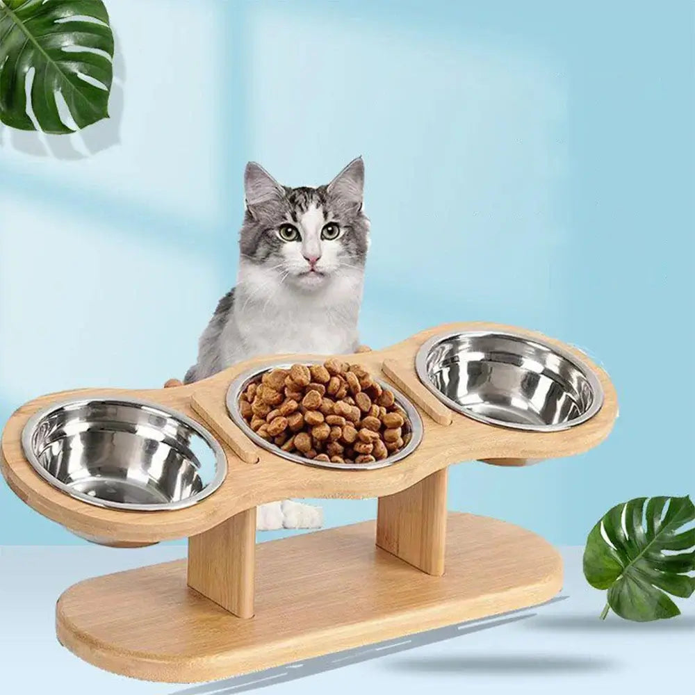 3-in-1 tilted cat feeder with wooden stand and stainless steel bowls, designed for better digestion and comfort.