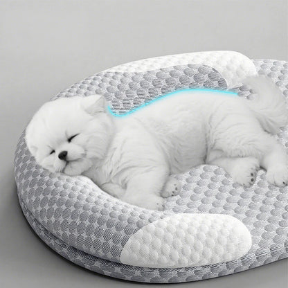 Orthopedic Dog Bed