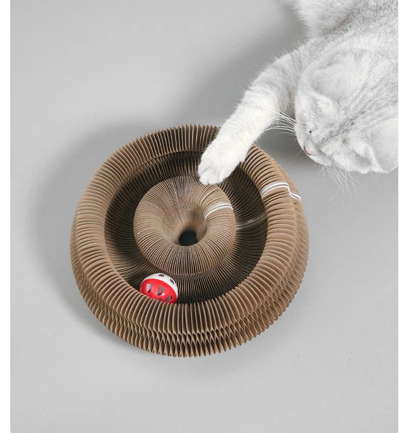 Cat playing with a cardboard cat toy on a light gray background