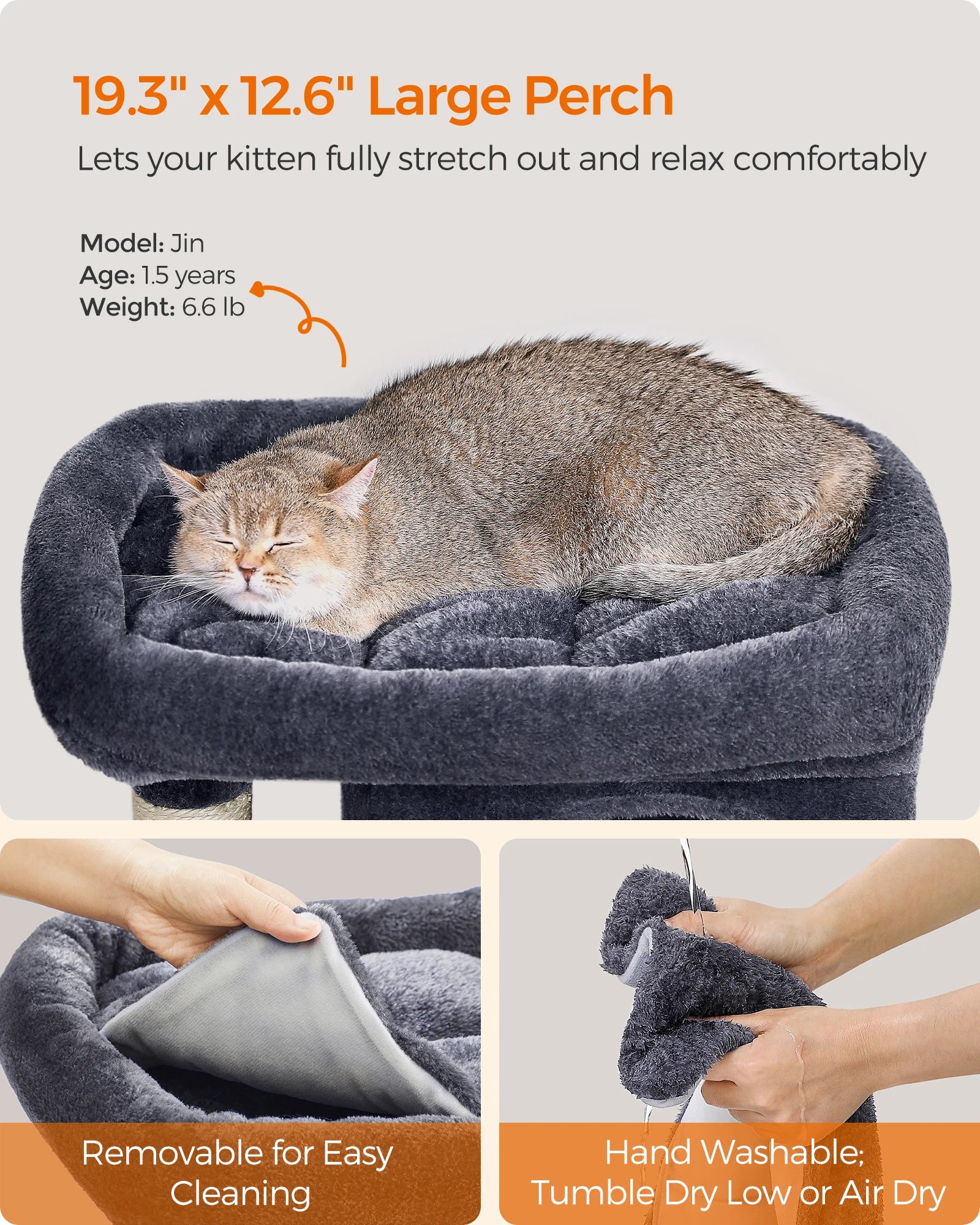 Cat resting on a large perch with text detailing its dimensions and features.