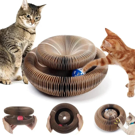 Collapsible cardboard cat toy with cats interacting on a white background