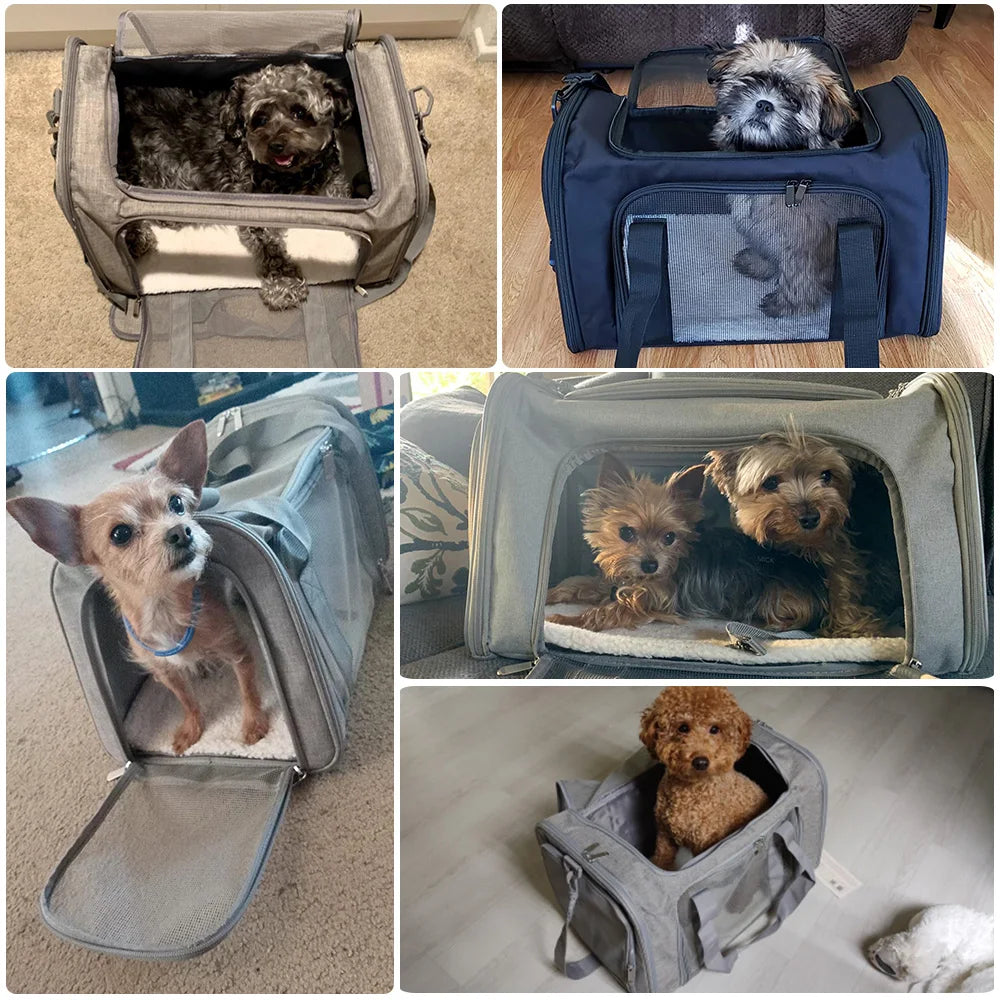 Airline-Approved Dog & Cat Carrier Backpack – Soft-Sided, Waterproof Travel Bag with Fleece Bed for Small Pets