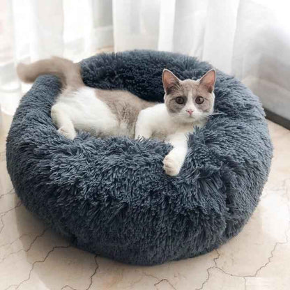 Cosy Calming Dog Bed