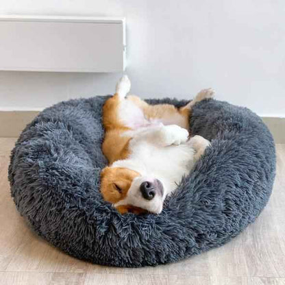 Cosy Calming Dog Bed