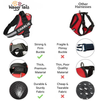 Dog Harness
