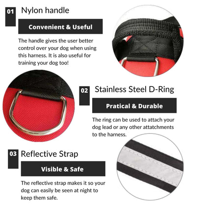 Dog Harness