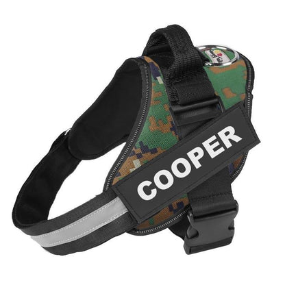Dog Harness