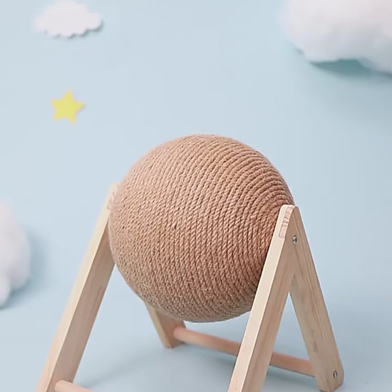 cat toy